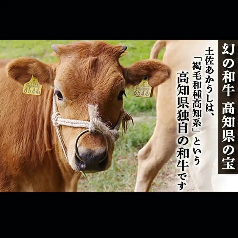 土佐あかうし 和牛カルビ／焼肉用 500g | あか牛 赤身 旨味 希少 幻 贈り物 ギフト 高知県 南国市