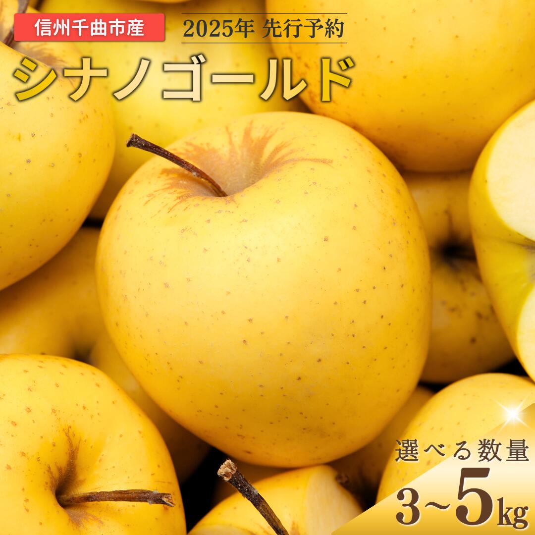 【ふるさと納税】【2025年先行予約】りんご シナノゴールド 6〜20玉 約3kg / 5kg ｜ リンゴ 林檎 フルーツ 果物 信州りんご 長野県産 千曲市 信州