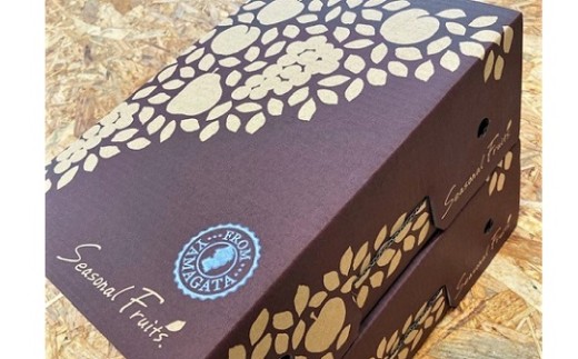 西洋梨（ラフランス）４ｋｇ（２ｋｇ×２箱）特秀品　0047-2616