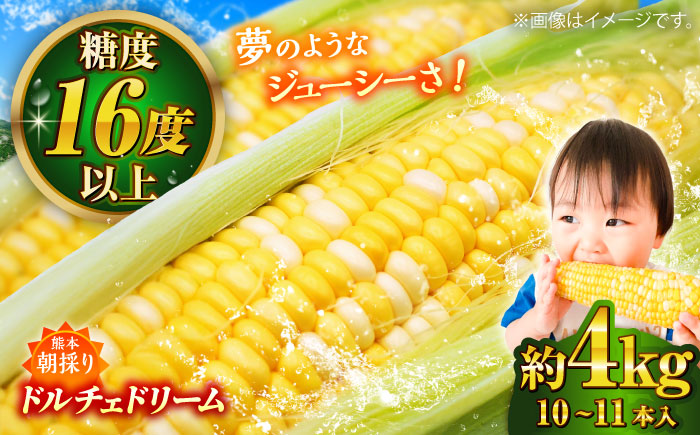 【先行予約】【2026年5月下旬より順次発送】スイートコーン(ドルチェドリーム)約4kg【なかむら農園】 [BHCJ002]