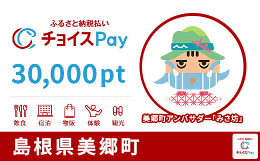 
美郷町チョイスPay 30,000pt（1pt＝1円）【会員限定のお礼の品】
