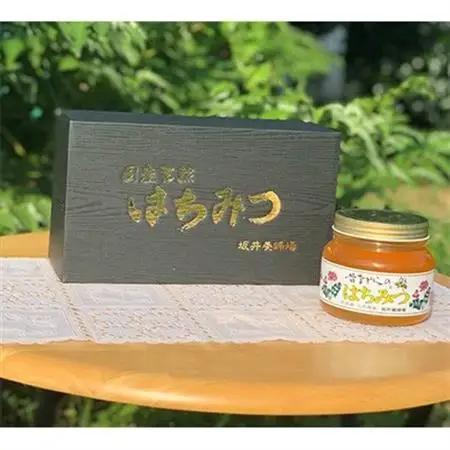 坂井養蜂場　昔ながらの蜂蜜　550g　2本組_調味料 はちみつ  ハチミツ 蜂蜜_【1089941】