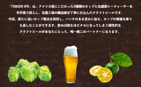 《名護市限定返礼品》オリオンプレミアムクラフト75BEER《ナゴビール》IPA 350ml×24本 オリオンビール クラフトビール プレミアム 美味しい 上質 人気 飲料 お酒 アルコール 贈り物 ギ