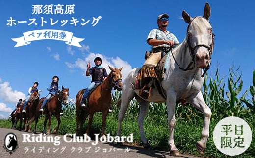 那須高原を馬とめぐる2時間のホーストレッキング 外乗ペア利用券【平日限定】チケット 利用券 ペア 体験 乗馬 初心者歓迎〔P-100〕