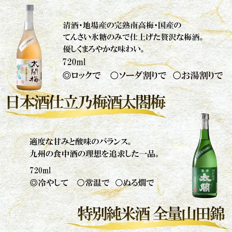 唐津地酒太閤 芳醇な辛口の特別純米酒と口当たり柔らかな梅酒 720ml各1本(計2本) 日本酒・梅酒芳醇セットA-4
