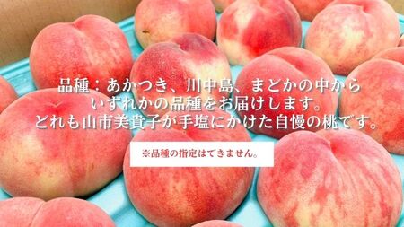 田子の家庭用白桃 約5kg（15～18玉） 8月出荷