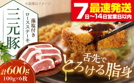 三元豚 ロースステーキ 6枚（100g/枚）  藻塩付き 《喜茂別町》【平田牧場】ステーキ ステーキ ステーキ ステーキ ステーキ ステーキ ステーキ  [AJAP003] 13000 13000円