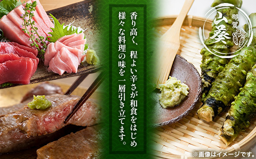 那賀わさび (真妻) 約300g 3～6本【徳島県 那賀町 生産者直送 産地直送 本わさび わさび ワサビ 生わさび 山葵 野菜 香味野菜 国産 真妻 薬味 調味料 万能 新鮮】FN-08