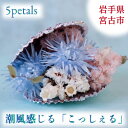 【ふるさと納税】【宮古市】5petals 「こっしぇる」【1290634】