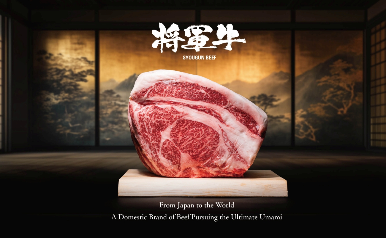【将軍牛】特選焼肉セット ロース カルビ もも 3種類 500g【配送不可地域：離島・北海道・沖縄県】