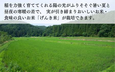 石川県産 げんき米 コシヒカリ （玄米20kg）  玄米 玄米 玄米 玄米 玄米 玄米  