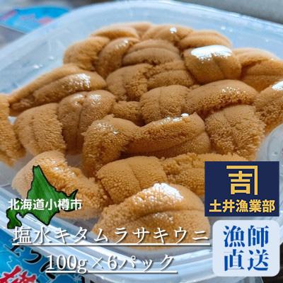 ふるさと納税 小樽市 北海道小樽市[漁師直送]塩水キタムラサキウニ100g×6パック 【2025年5月下旬より発送】