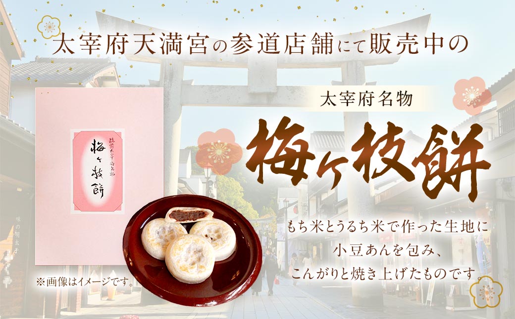 【おまかせ】【太宰府名物】 梅ヶ枝餅 10個入り 餅 もち お餅 おもち 餡子 あんこ 焼餅 焼き餅 お菓子 おかし お土産 ギフト プレゼント おすすめ 冷凍