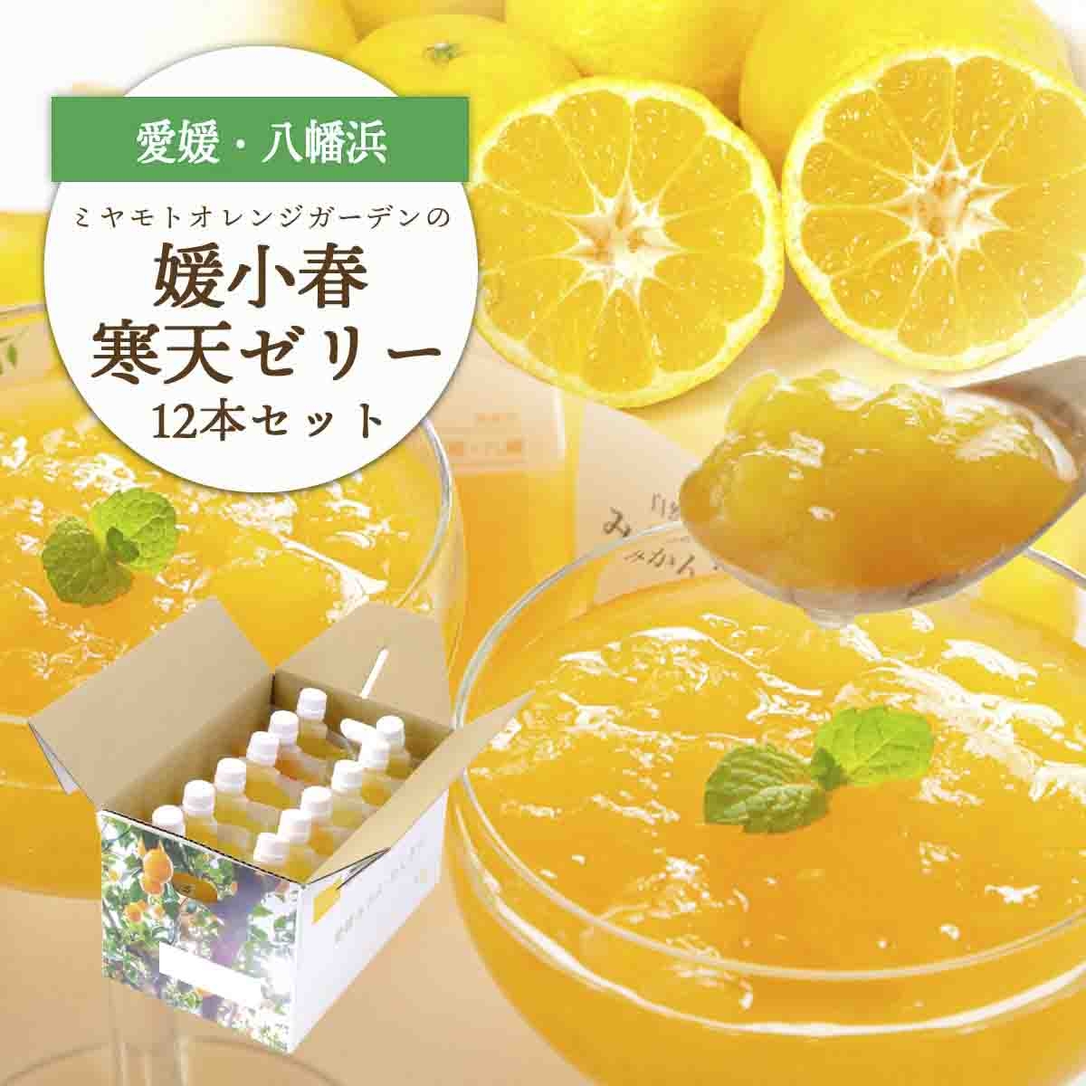 
                  ゲル化剤・pH調整剤不使用!愛媛産 媛小春寒天ゼリー 12本セット＜D25-227＞【1629427】 YWTAP168
                