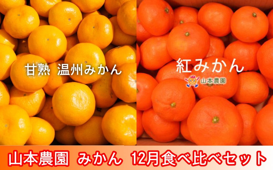 
                  【セット】太良町 山本農園 12月食べ比べセット 6kg（甘熟温州みかん、紅みかん 各3kg）
                