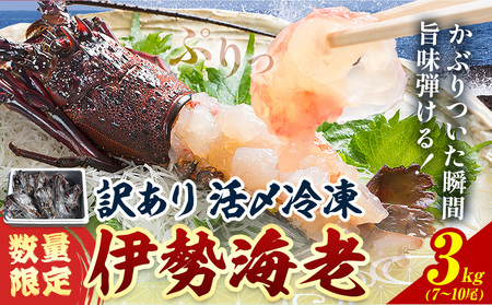 数量限定 訳あり 活〆冷凍 伊勢海老 3kg(7〜10尾) 寺田水産【配送不可地域あり】（離島）