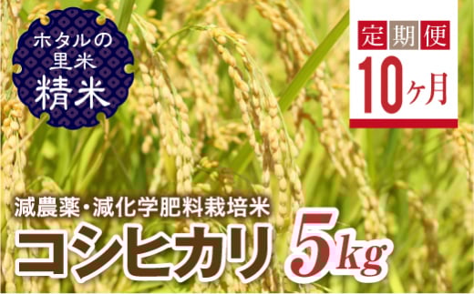  ＜定期便10ヶ月＞【ホタルの里米】環境に配慮し農薬を減らした栽培米 コシヒカリ精米5kg F4D-1440