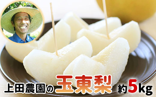 
                  『上田農園』の玉東梨　たっぷり約5kg♪6-16玉前後《8月中旬-10月上旬頃出荷》 熊本県 玉名郡 玉東町 梨 ナシ フルーツ 果物 送料無料 旬 豊水 あきづき 甘太 新高
                