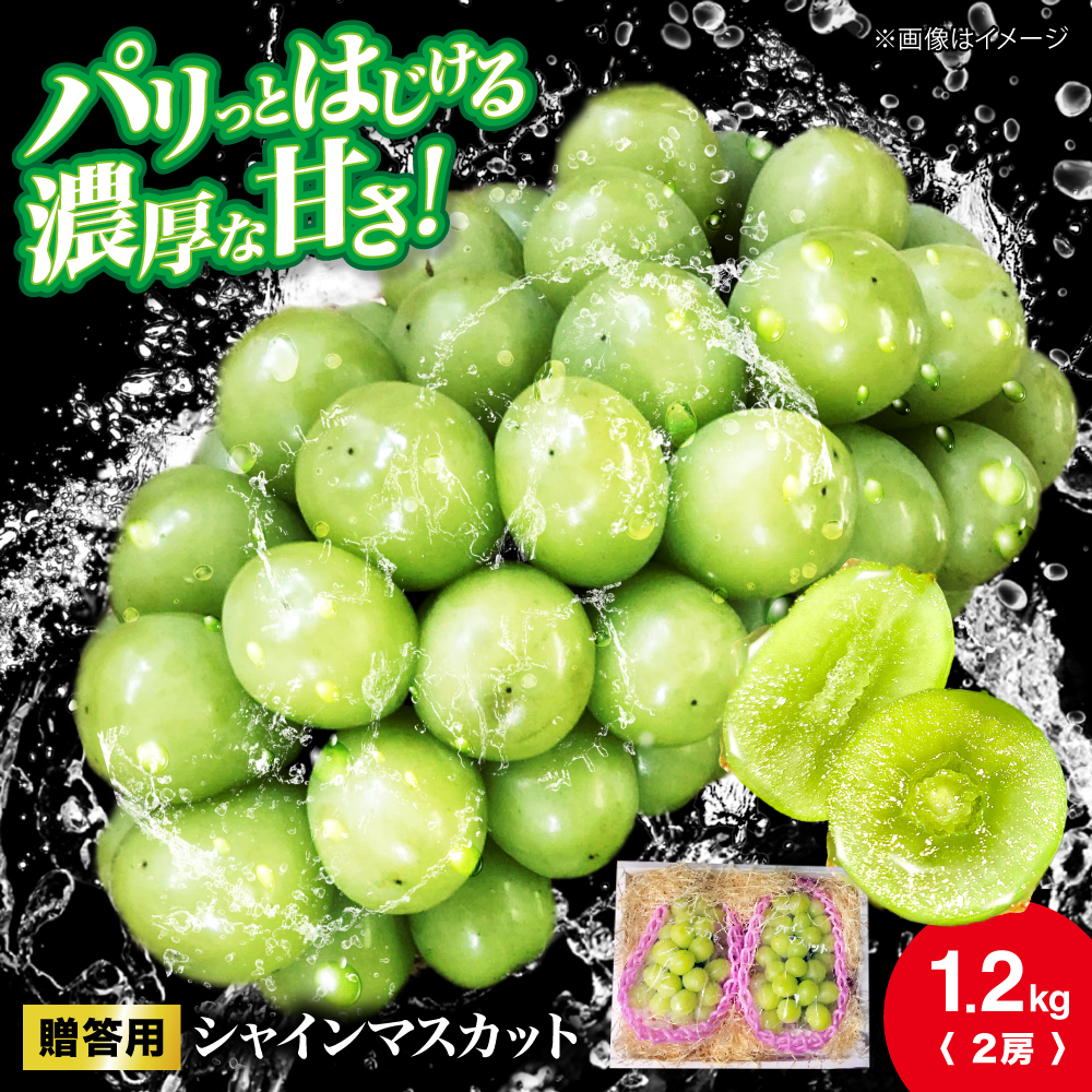 【2026年先行予約】＜10月上旬から順次発送＞贈答用 シャインマスカット 約1.2kg（2房） ぶどう ブドウ 葡萄 シャイン マスカット 三次市 / 辰巳農園 [APCR003]