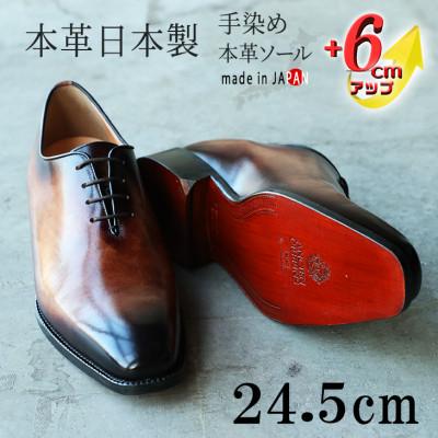 ふるさと納税 大和郡山市 ホールカット革靴 紐タイプ 6cmUPシークレットシューズ No.1380 セピア 24.5cm