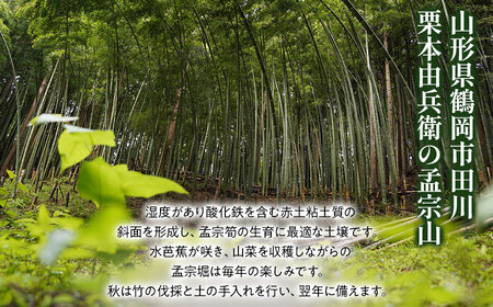 庄内地方の郷土料理　孟宗汁食べ比べセット（庄内豚肉入と肉無しの二種類）