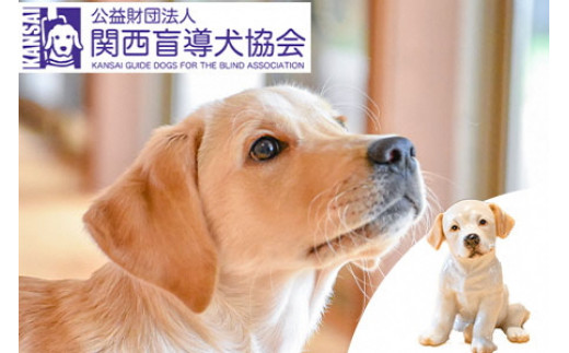 
盲導犬 訓練 支援寄附 記念品［陶器のクイール（子犬）※欠品時は代替品の盲導犬のぬいぐるみ・タオル・エコバッグ など盲導犬協会オリジナルグッズ］「行きたい場所に安心していける社会に…」補助犬 (50,000円)
