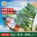 【ふるさと納税】04-05 【選べる回数】阿見町産野菜ボックス詰め合わせセット（7～8品）1ヶ月・3ヶ月・6ヶ月【新鮮 美味しい EM菌 減農薬 有機肥料 阿見町 茨城県】