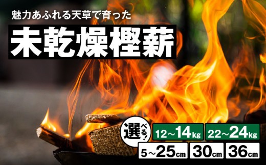 
                  S163-007-sku_魅力あふれる天草で育った未乾燥樫薪
                