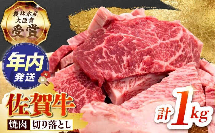 
            【12/15入金まで年内発送】【2度の農林水産大臣賞】佐賀牛 焼肉用 （カルビ・赤身）  1kg【田中畜産牛肉店】[HBH144]  / 佐賀牛 牛肉 精肉 肉 切り落とし 焼肉 焼肉切り落とし BBQ バーベキュー
          
