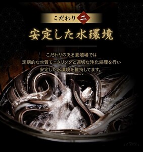 鰻小食パック驚愕の８人前_Cu032