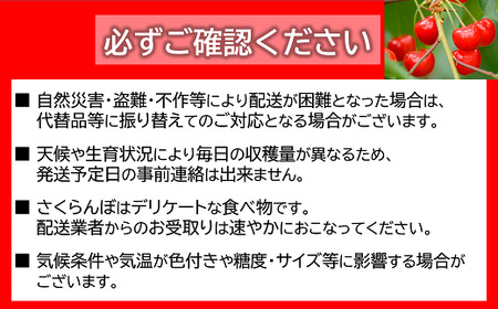 【令和7年産先行予約】 さくらんぼ 「佐藤錦」 約1kg (約500g×2パック 秀 L以上) バラ詰め 《令和7年6月中旬～発送》 『マルタニ農園』 小分け サクランボ 山形県 南陽市 [1217]
