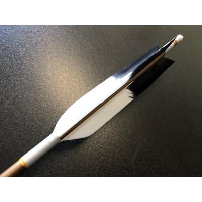 ふるさと納税 岡崎市 七面鳥アルミ矢「1913」　6本組(シャフト色:茶　矧ぎ糸:白系) |  | 01