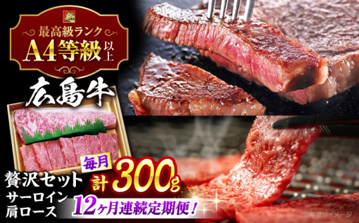 【全12回定期便】【冷蔵】牛肉  広島 和牛 贅沢セット 計300g 肩ロース 焼肉用 150g サーロイン 150g 牛肉 肉 にく 国産 和牛 牛 黒毛和牛 くろげわぎゅう お肉 高級 肉質等級 A4等級以上 A5等級 ブランド牛 広島県産 三次市産 赤身 おいしい 高級 霜降り ギフト 贈答 プレゼント お取り寄せ ご当地 焼き肉 やきにく  三次市/広島三次ワイナリー[APAZ076]