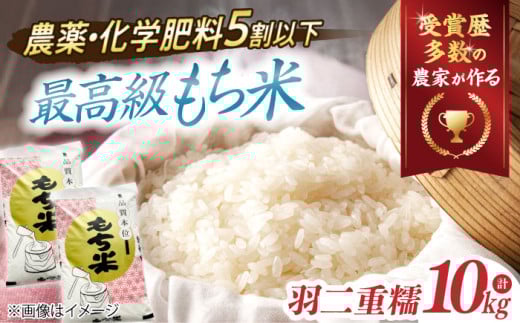 【令和6年産】滋賀県産【特別栽培米】羽二重糯（はぶたえもち）5kg×2　滋賀県長浜市/株式会社ＴＰＦ [AQCQ011] 米 お米 もち米 餅米 10kg 羽二重餅 餅米 もち お餅