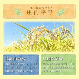 1373T05　【定期便】庄内産雪若丸5kg×6ヶ月連続(5月～10月)