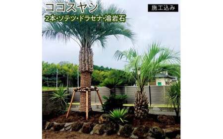 ココスヤシ　２本・ソテツ・ドラセナ・溶岩石【施工込み】（AU-3）