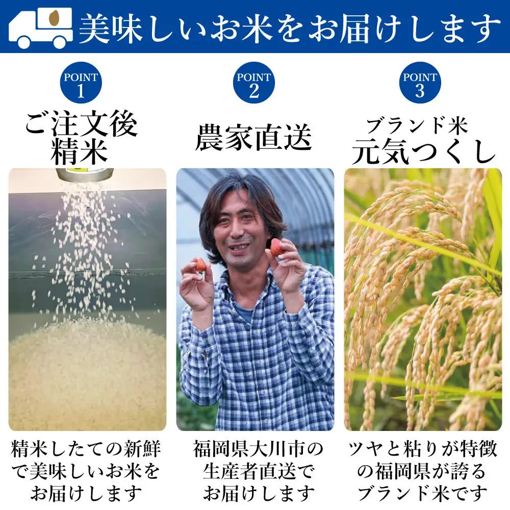 《令和7年産》福岡県大川市産 ブランド 米「 元気つくし 」 5kg×2個　計10kg | お米 米 こめ 精米 白米 ライス ブランド米 ごはん ご飯