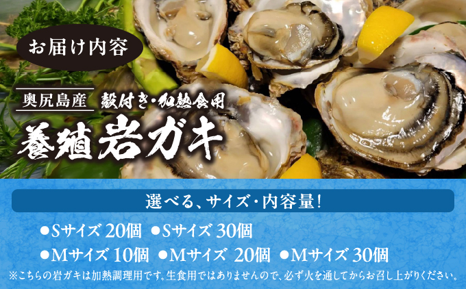 【先行予約 2026年7月20日頃より発送】奥尻島産養殖岩ガキ 数殻付き（加熱食用）～豊かな海が育てた海の宝石～【選べるサイズ】S・M　【選べる個数】10個～30個
