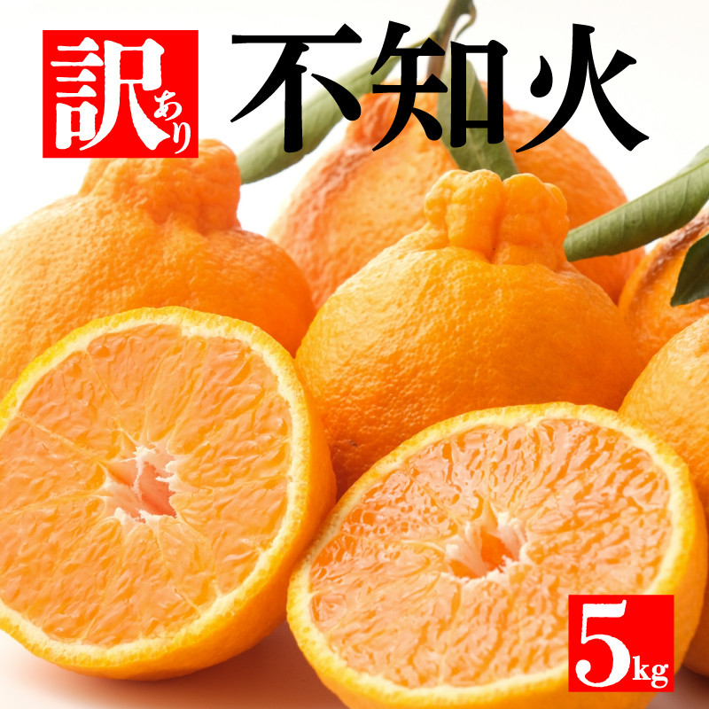 
                  不知火 しらぬい みかん 【農家直送】＜ デコポン と同品種＞（濃厚な甘み／果汁がたっぷり／まろやかな酸味）訳あり サイズ不揃い5kg＜清見 オレンジ と ポンカン の 掛け合わせ＞ ミカン 柑橘 果物 フルーツ 蜜柑 人気 愛媛 愛南町 和家農園
                