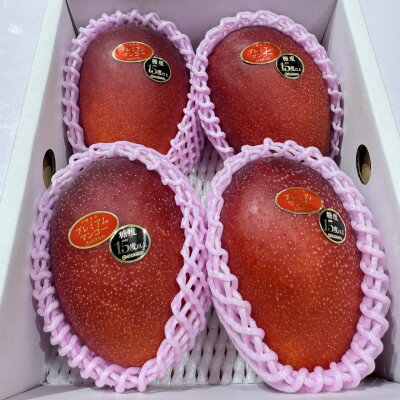 【ふるさと納税】【2026年6月から順次発送・数量限定】糖度15度以上を選別した「プレミアムマンゴー」4玉【配送不可地域：離島】【1681774】