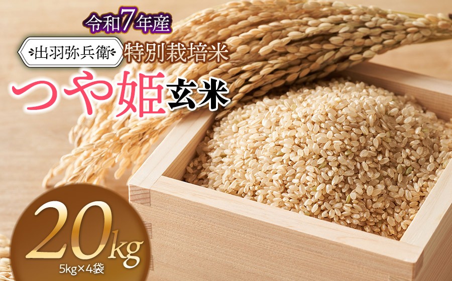 
                  【令和7年産】特別栽培米 つや姫 【玄米】　20kg（5kg×4袋）　山形県鶴岡市産　出羽弥兵衛　| お米 米 コメ こめ ライス つやひめ 20キロ ご飯 ブランド米 国産 主食 お取り寄せ 返礼品
                