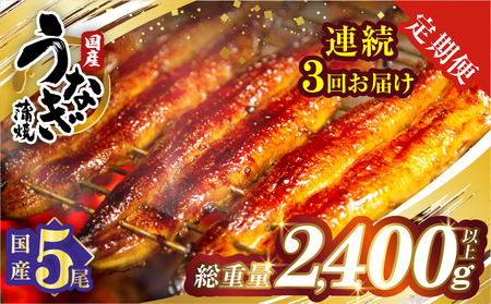 【3回連続定期便】うなぎ蒲焼5尾(さんしょう・たれ付き)総重量2400g以上 鰻 魚 魚介 加工品 国産_T026-0035-R