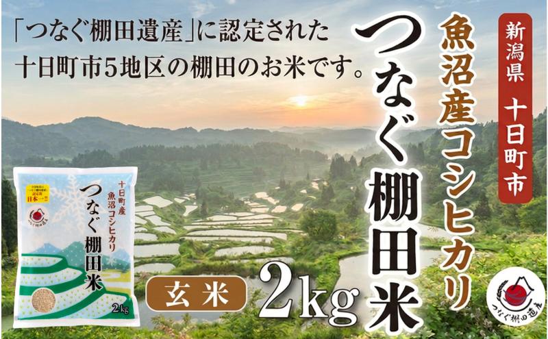 玄米2kg 令和7年産新潟県十日町市魚沼産コシヒカリ「つなぐ棚田米」 米 こしひかり 玄米 十日町市