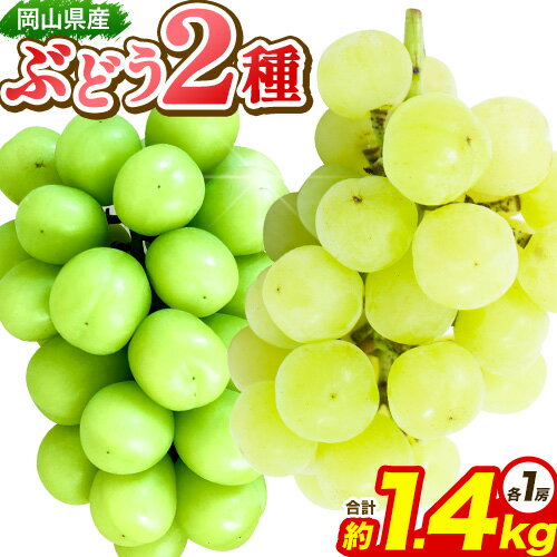 【ふるさと納税】ぶどう 岡山県産ぶどう2種セット シャインマスカットと瀬戸ジャイアンツor桃太郎ぶどう 約1.4kg(2房) 株式会社あいたいよう 《9月上旬-9月下旬頃出荷》岡山県 備前市 シャインマスカット 瀬戸ジャイアンツ 桃太郎ぶどう ぶどう