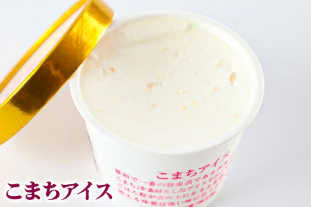 アイスクリーム詰め合わせ 12個入り 3種(こまちアイス パンプキンアイス 胡麻アイス)