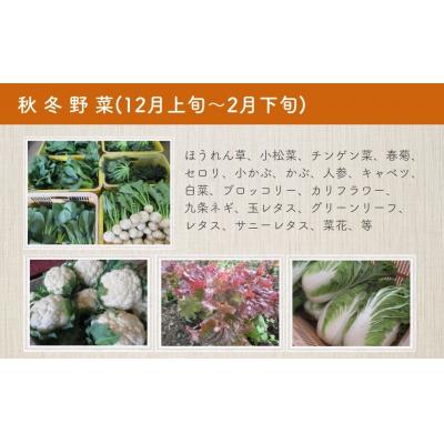 ふるさと納税 宇佐市 旬の有機野菜セットA(5〜6品)【114500101】【さとう有機農園】 |  | 03