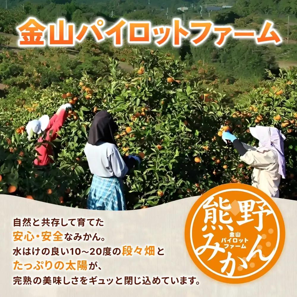 みかんジュース 無添加 果汁100％ みかんジュース 「くまのそだち」1L×6本【knpr0002】