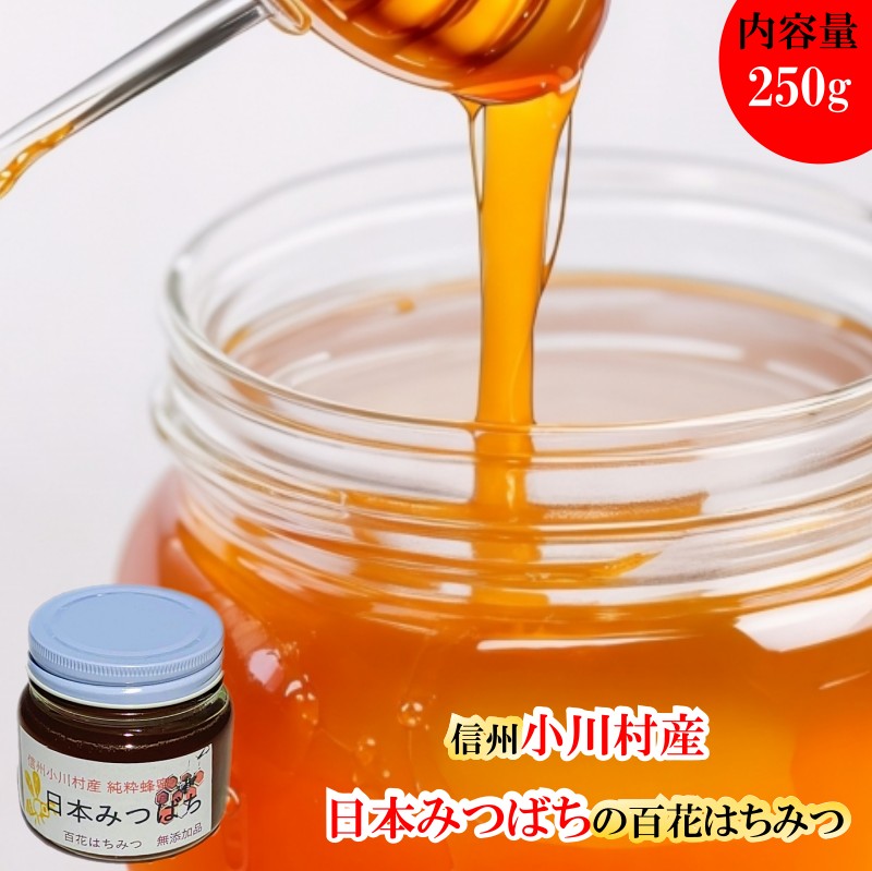 【ふるさと納税】254＊日本みつばち　百花はちみつ250g