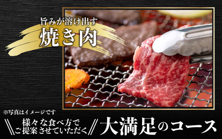 【肉の定期便×3回コース】肉好き大集合！若狭牛 食べ比べ 定期便！【福井のブランド牛肉】【4等級以上】