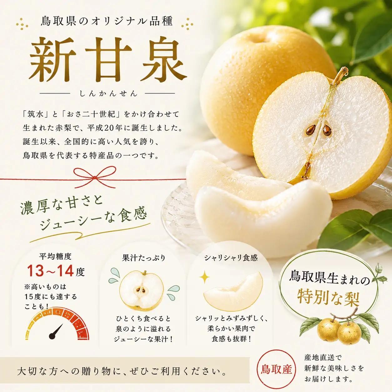 【期間限定】 梨 なし 新甘泉 5kg 10～16玉 2026年8月下旬～9月上旬頃順次発送 しんかんせん 果物 くだもの フルーツ 甘い ブランド 鳥取県 名産 特産品 先行予約 東商果樹園 直送 